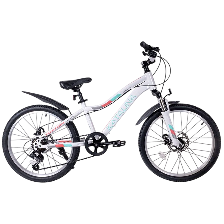 картинка Велосипед Tech Team Katalina 22" (белый) 2024 | велосалон Драйв г. Липецк